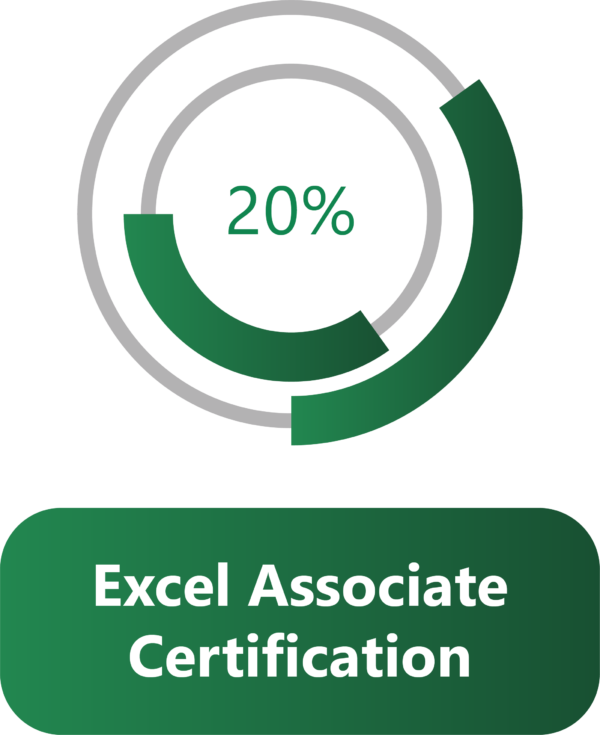 Excel Associate Course